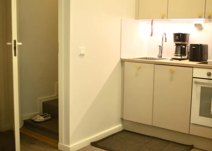 Center 2-rooms * 瓦萨